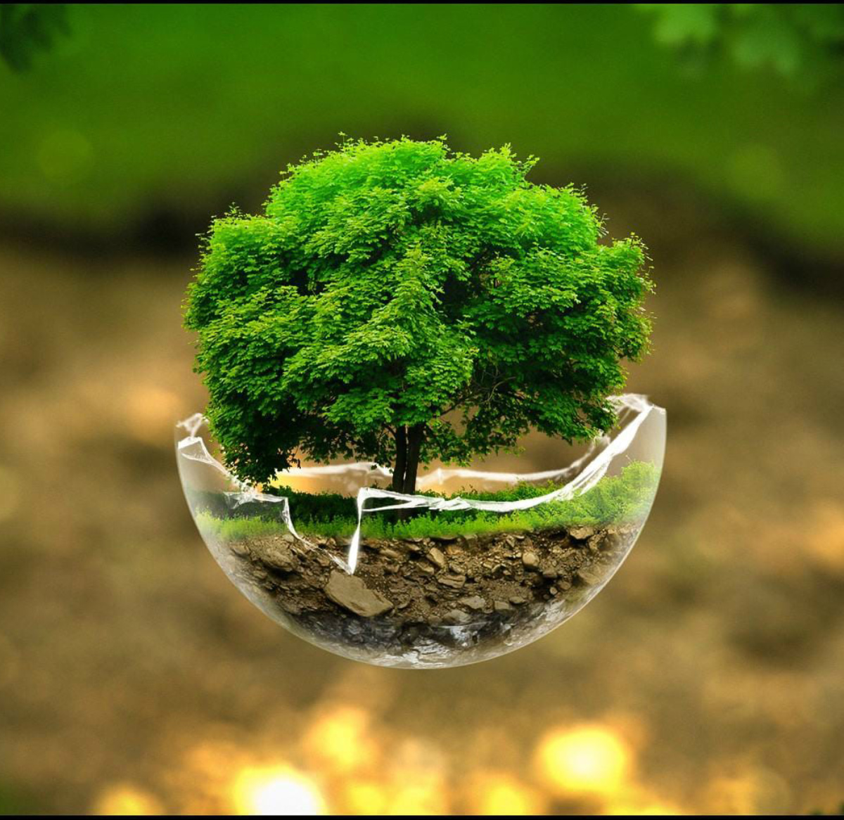 Ecofriendly